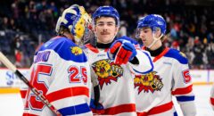 Credit: Daniel St Louis / Moncton Wildcats / QMJHL