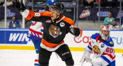Rimouski, QC - MAY 26:  Round Robin game 4 of the 2025 Memorial Cup between the Moncton Wildcat and the Medicine Hat Tigers on May 26, 2025, at the Colisée Financière Sun Life in Rimouski, Qc. (Photo by Vincent Ethier/CHL)