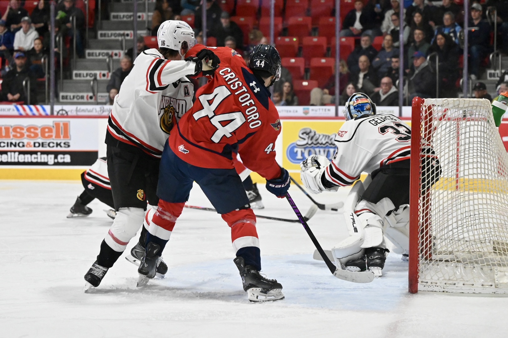 38099819_Amelia_Boyd_20251129_215005