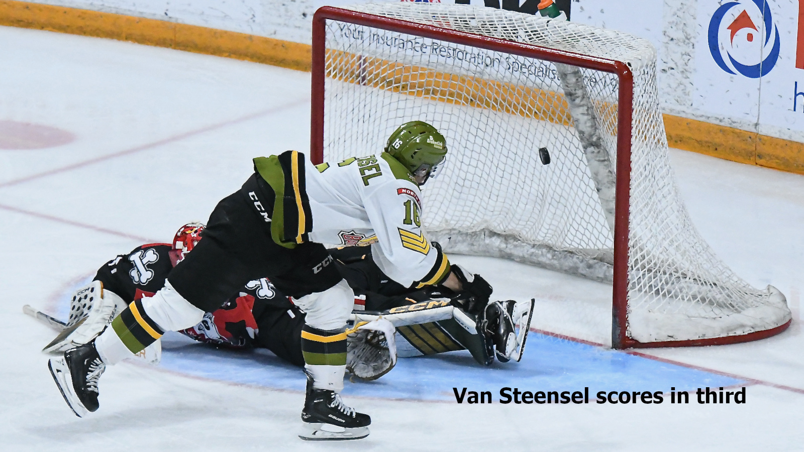 VanSteenselVsNIA