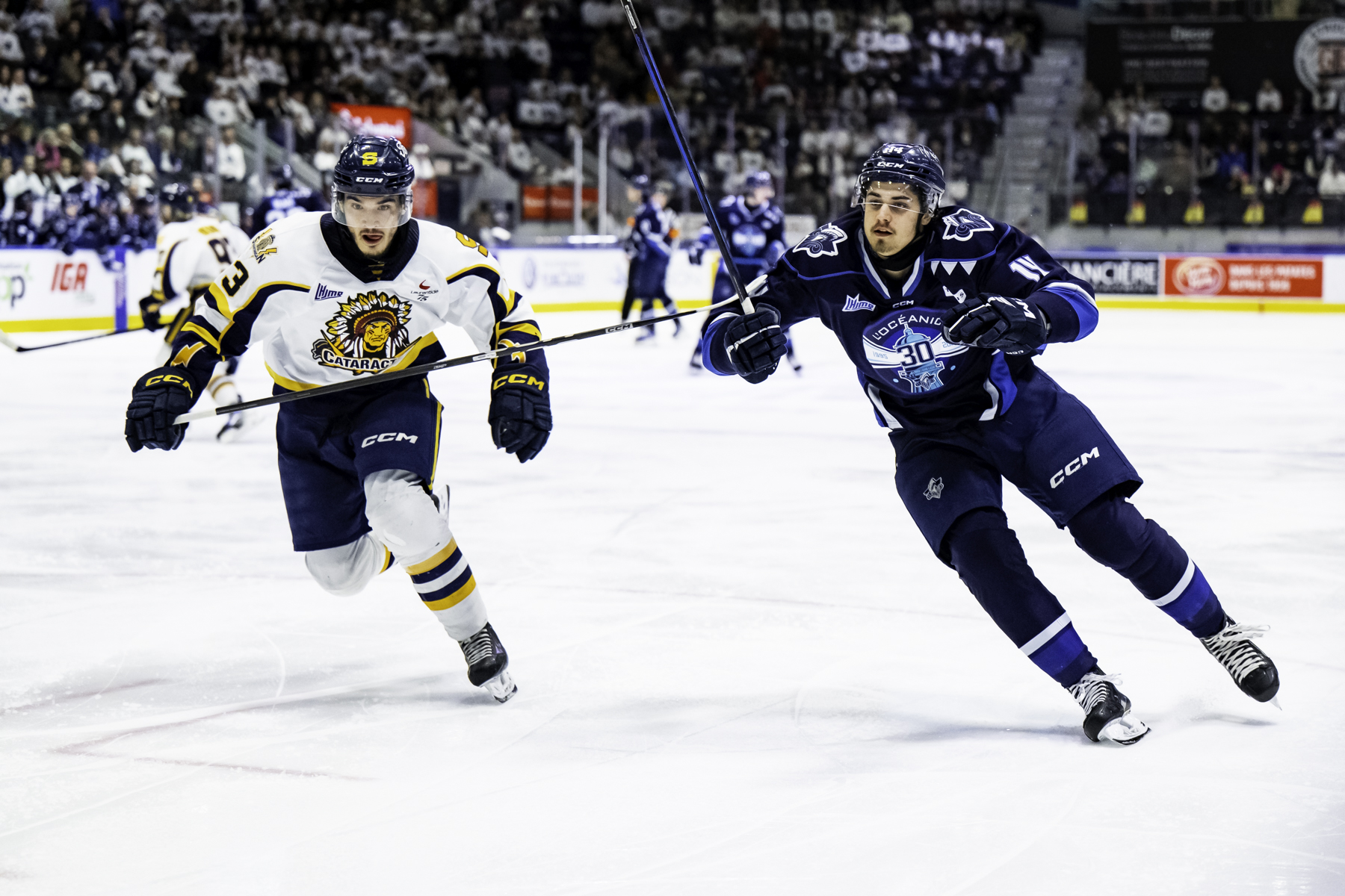 20250427-SHAvsRIM-FRANCOEURloic_LANTHIERmathieu-FOLIUOPHOTO Iften redjah 2025-04-27