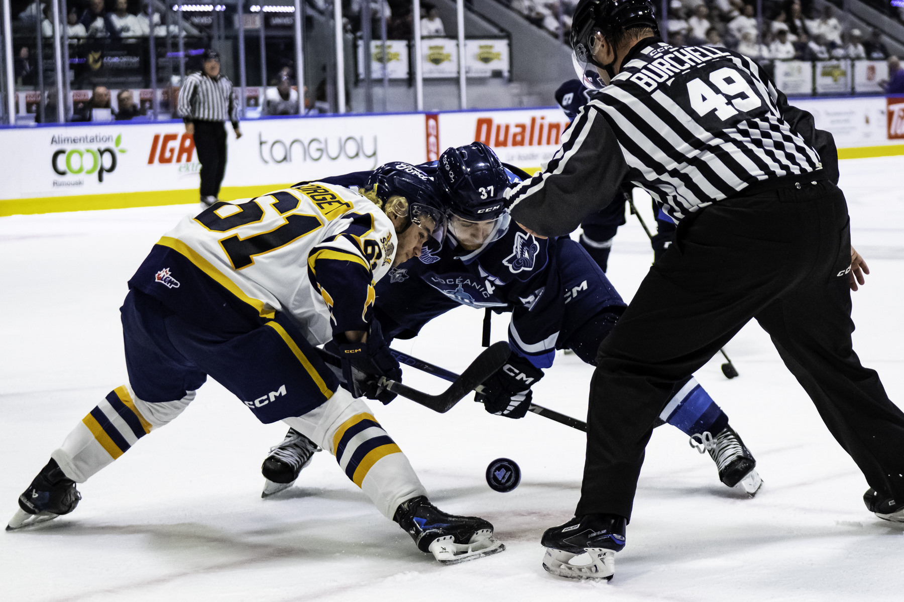 20250502-SHAvsRIM-ST-DENISmael_FORGETjordan-FOLIOPHOTO Iften Redjah 2025-05-02