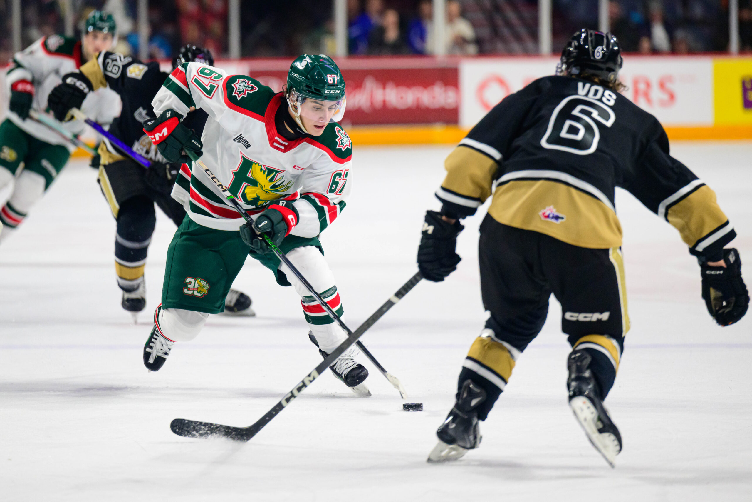 Halifax Mooseheads vs Charlottetown Islanders – January 26, 2024