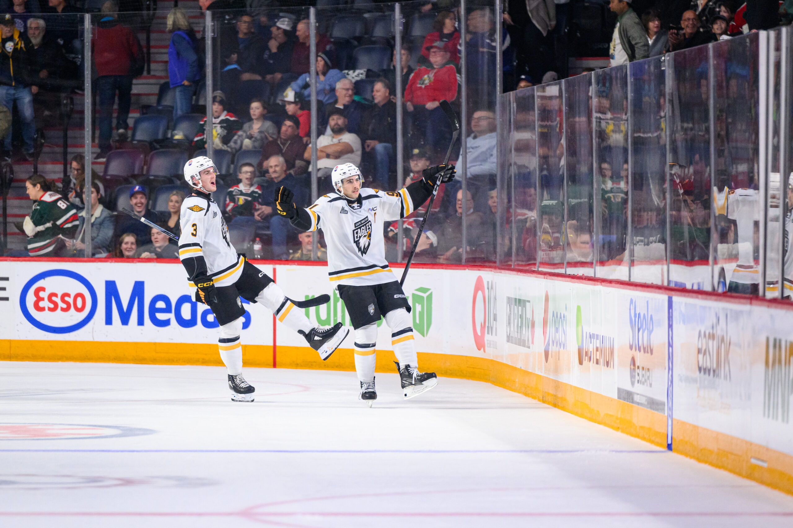 Halifax Mooseheads vs Cape Breton Eagles – October 19, 2024