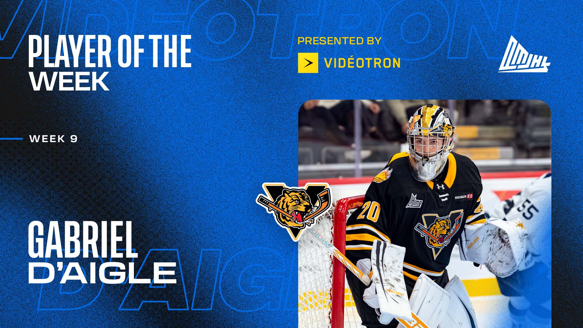 POTW – Gabriel D’Aigle ENG