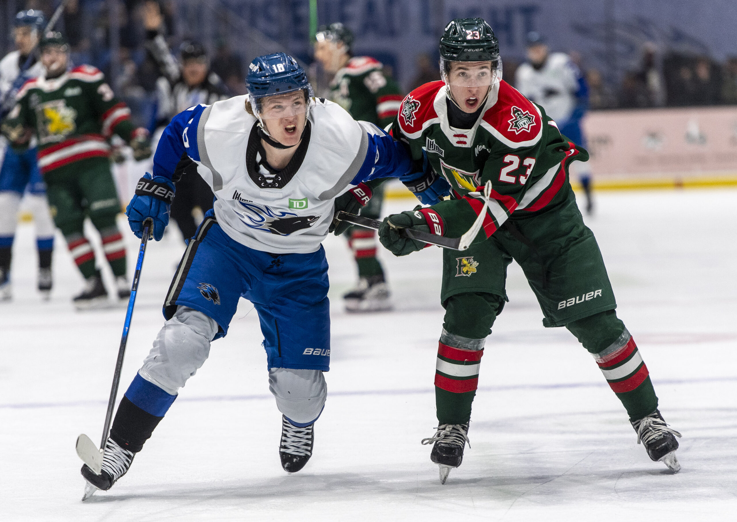 20260314SNBvsHAL-morin-minella-2 Michael Hawkins