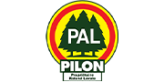 Pilon