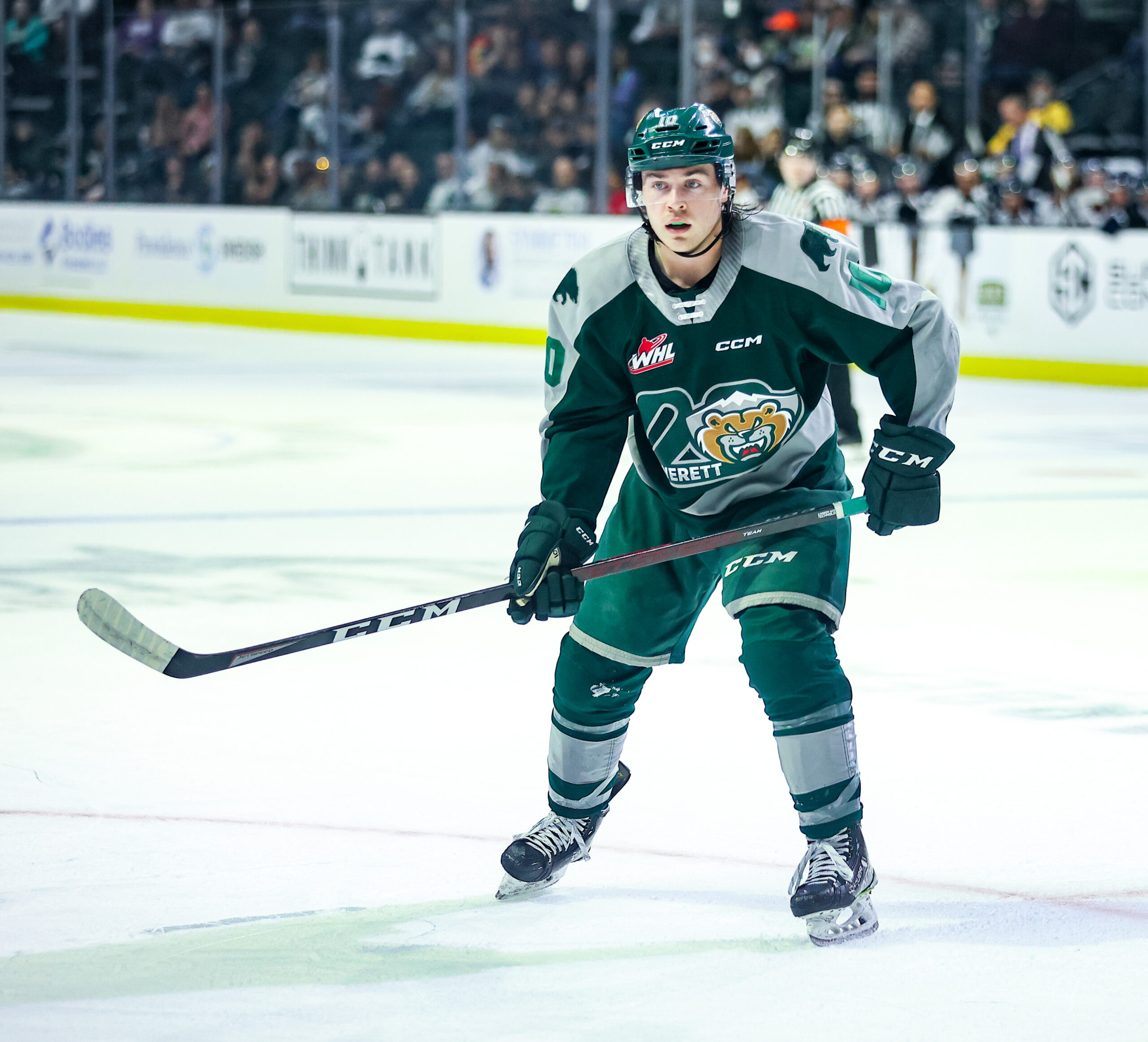 202324 Player Profile Beau Courtney Everett Silvertips