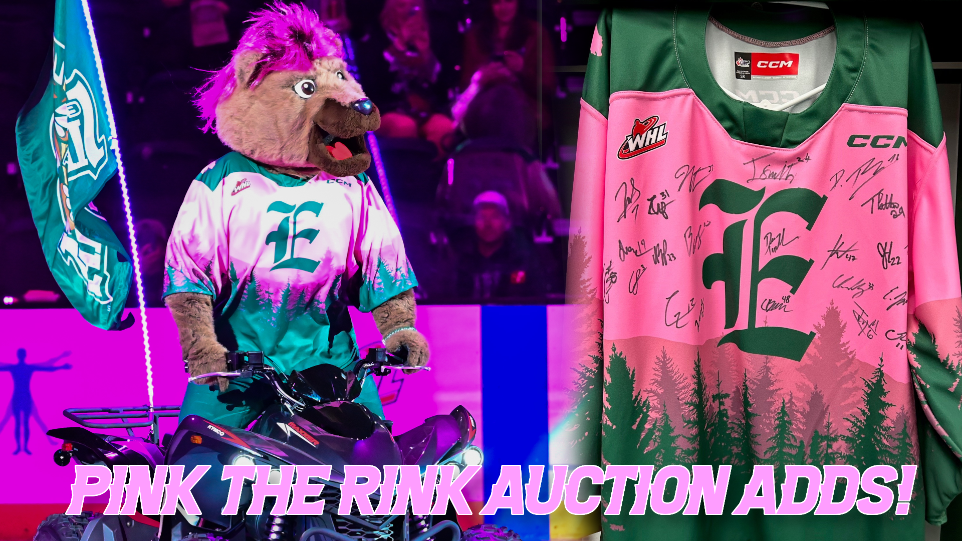 pink the rink jersey auction