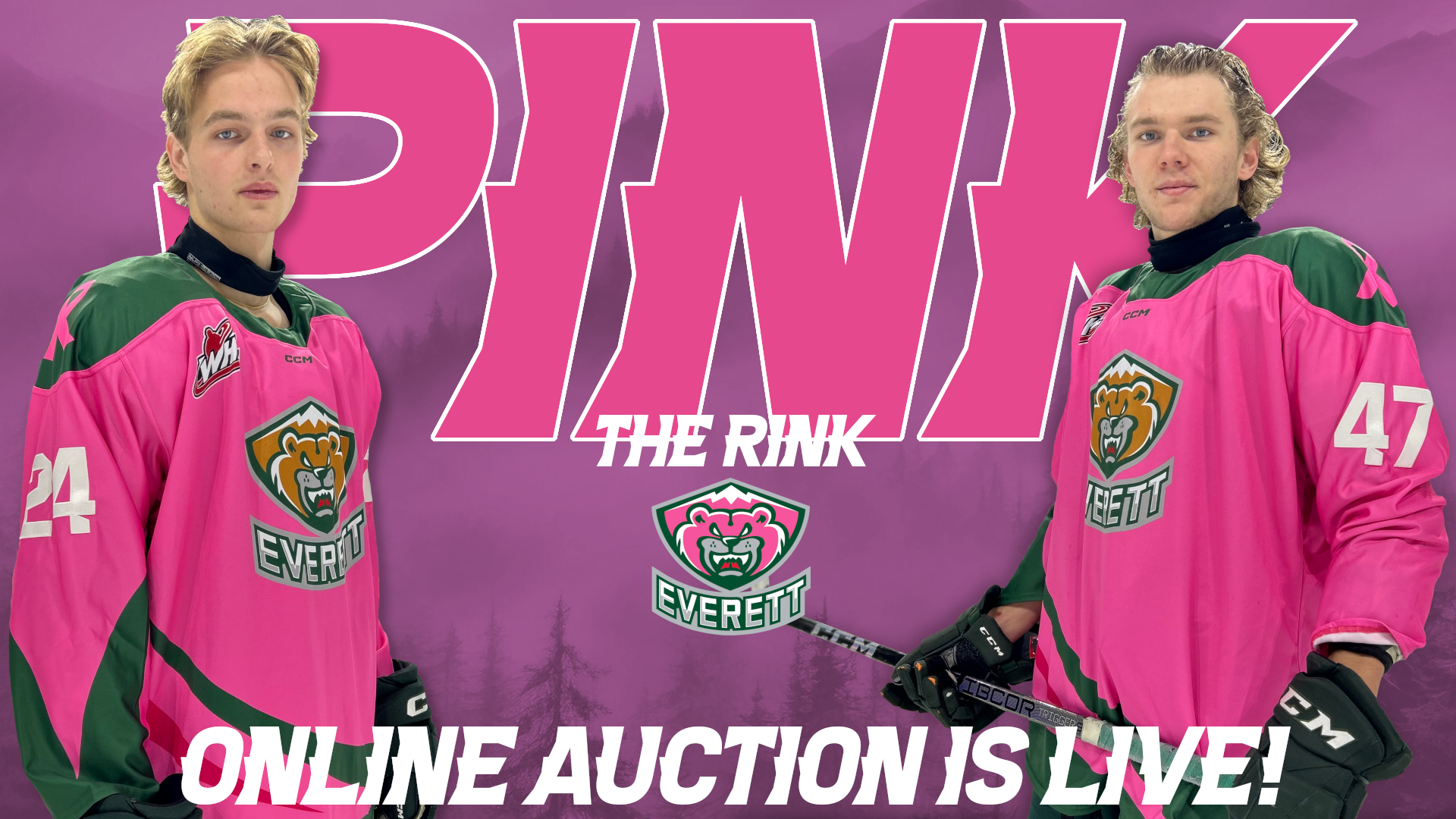 auction live Pink the Rink