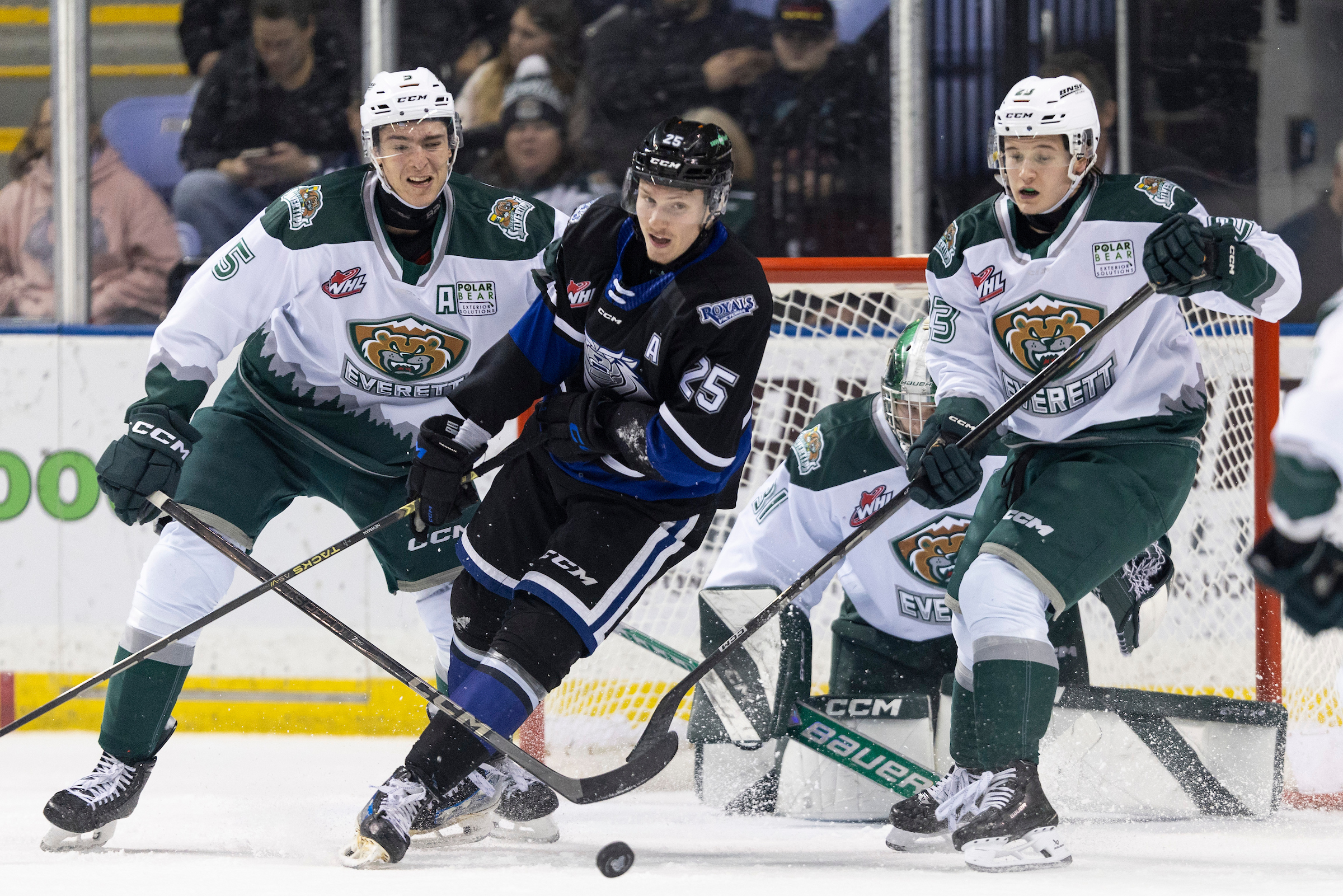 Royals vs. Silvertips_KRL_20250103__B7A3082