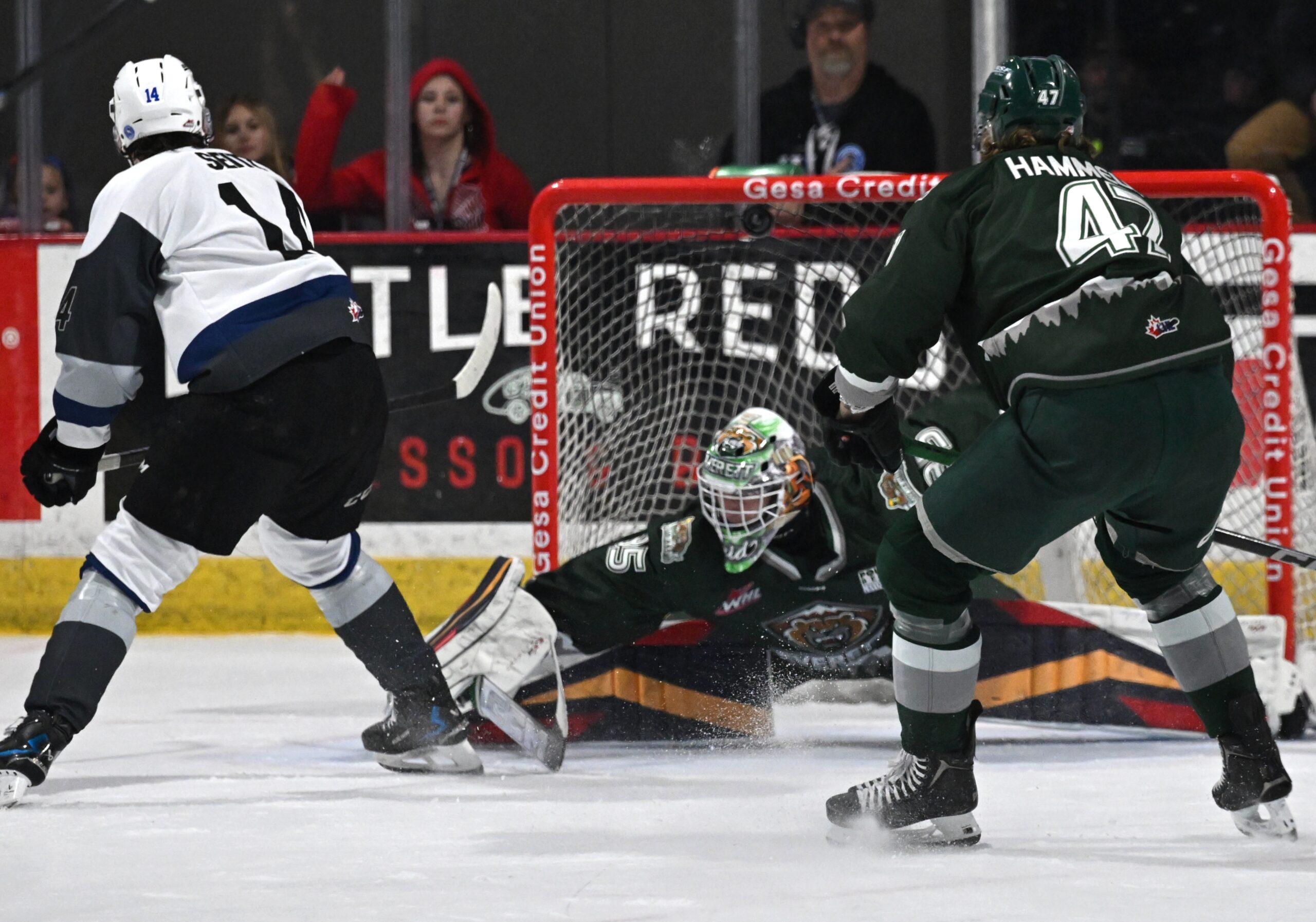 Everett Silvertips