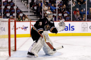 Silvertips acquire goaltender Anders Miller in trade with Calgary