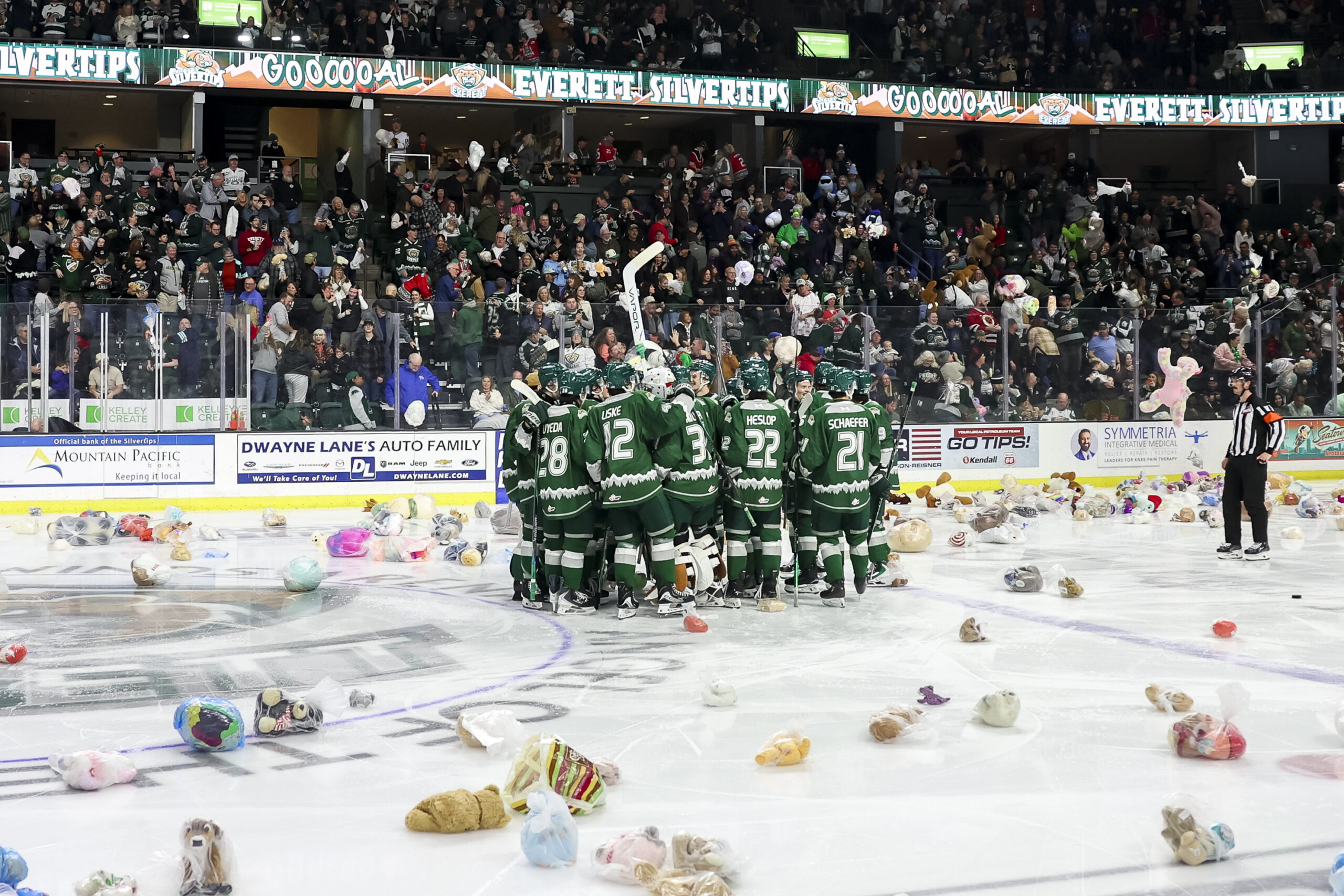 Teddy Bear Toss