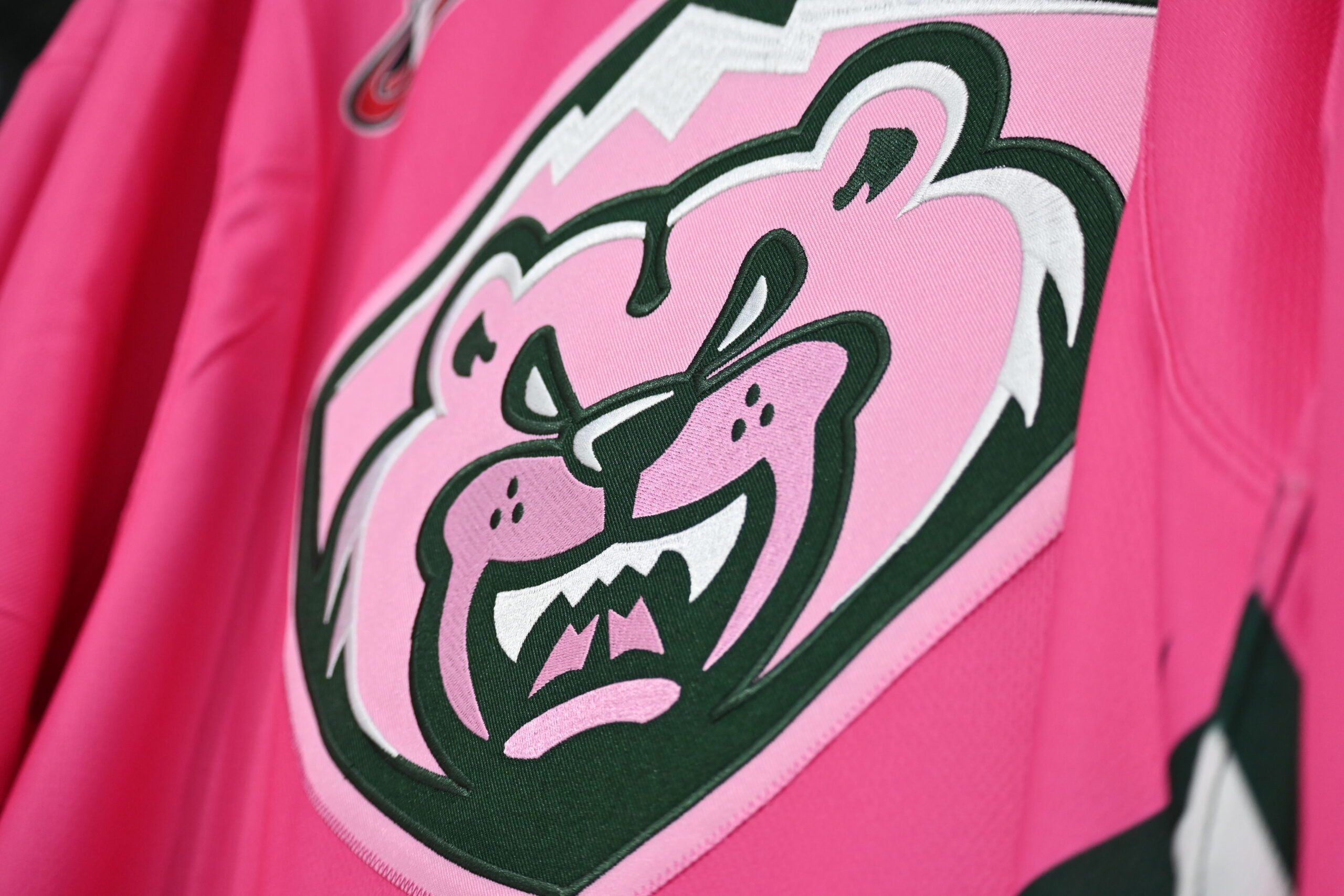 Pink the Rink