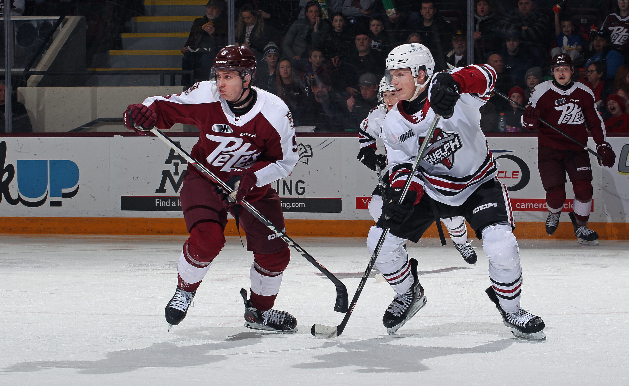 Guelph Storm Defeats Peterborough Petes in HighScoring Home Game Wil McFadden Debuts for