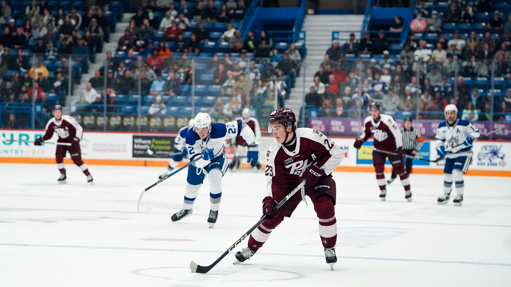 McCallum – Emmah Cacciotti