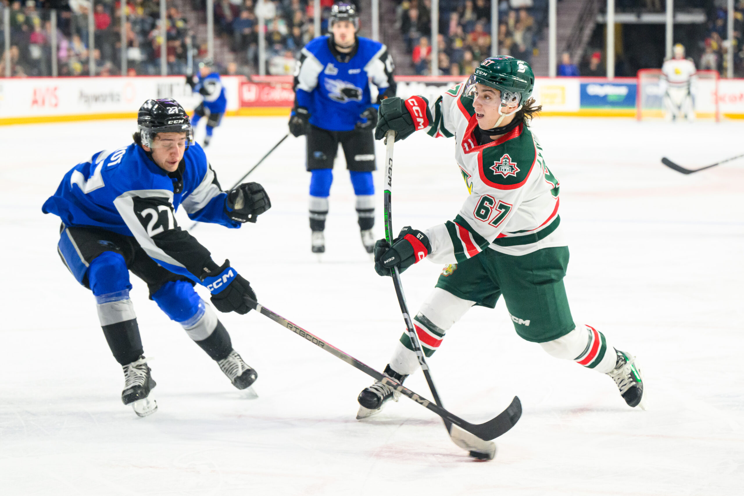 Halifax Mooseheads vs Saint John Sea Dogs – March 02, 2024
