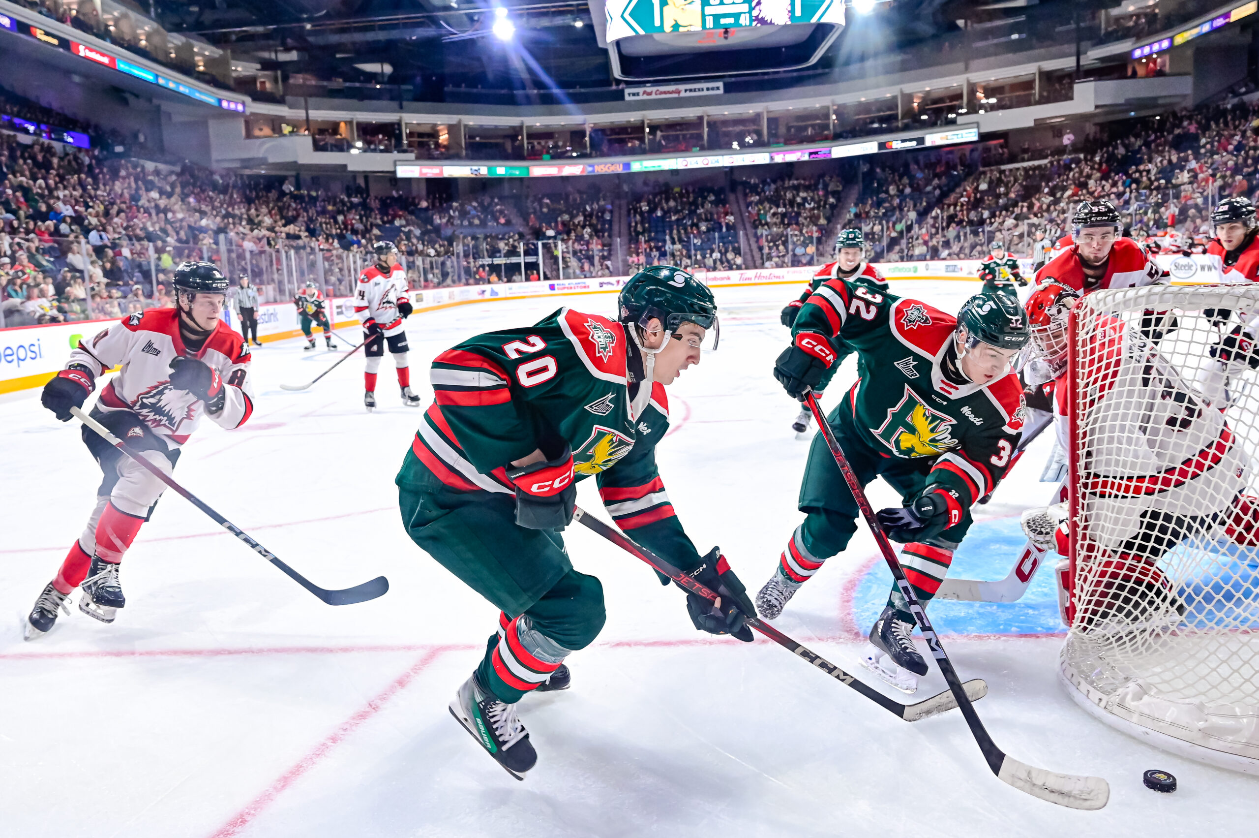 Halifax Mooseheads vs Rouyn-Noranda Huskies – November 01, 2024