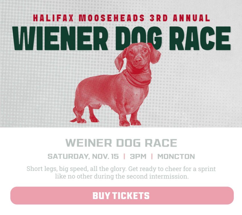 Weiner dog-G