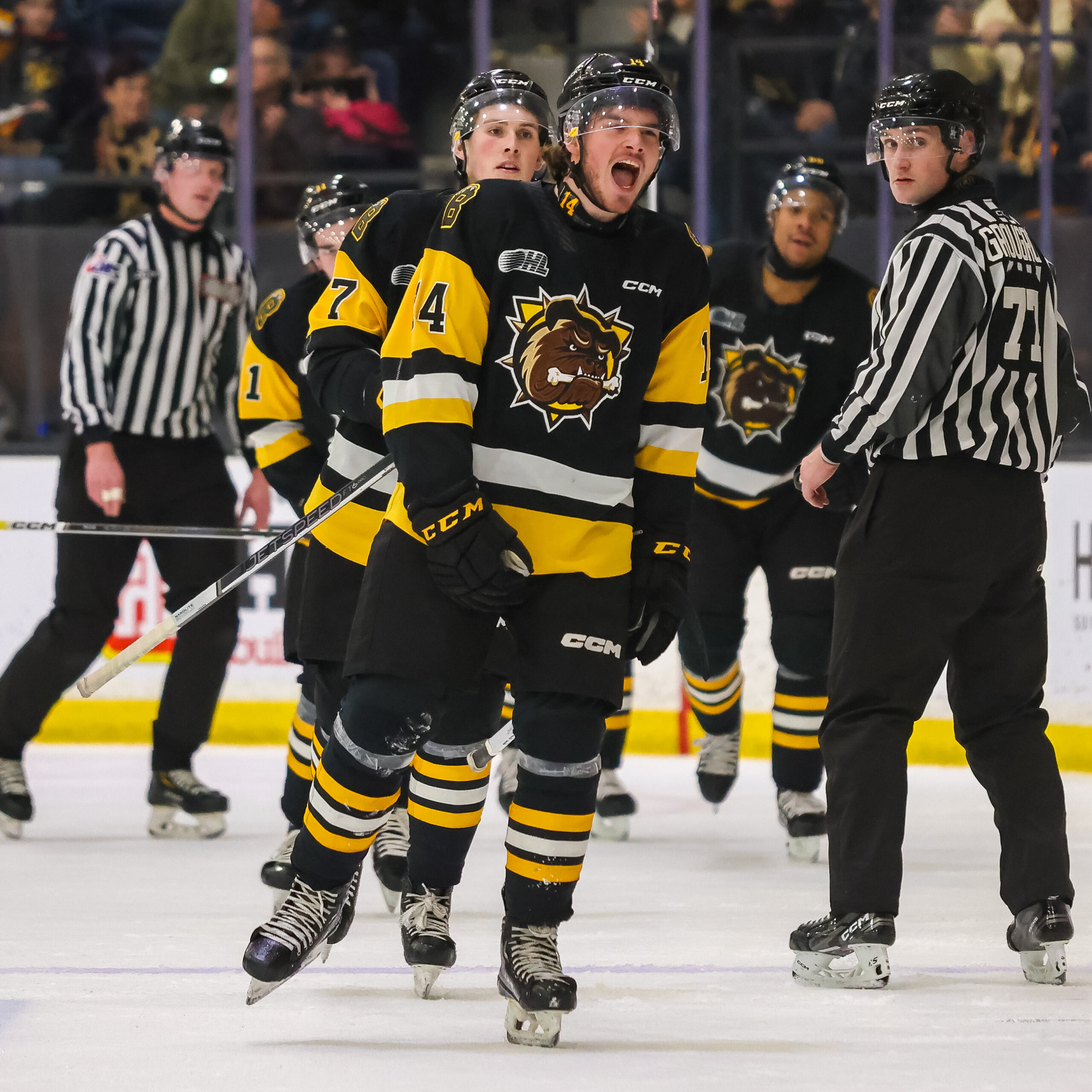 Brantford Bulldogs secure 42 victory over Kingston Frontenacs in