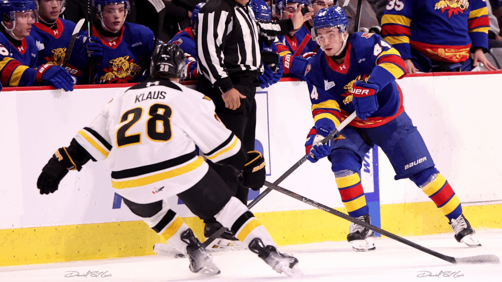 Cats bounce back with OT win over Eagles - Moncton Wildcats