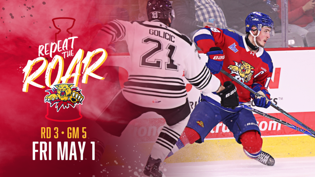Moncton Wildcats, on screen