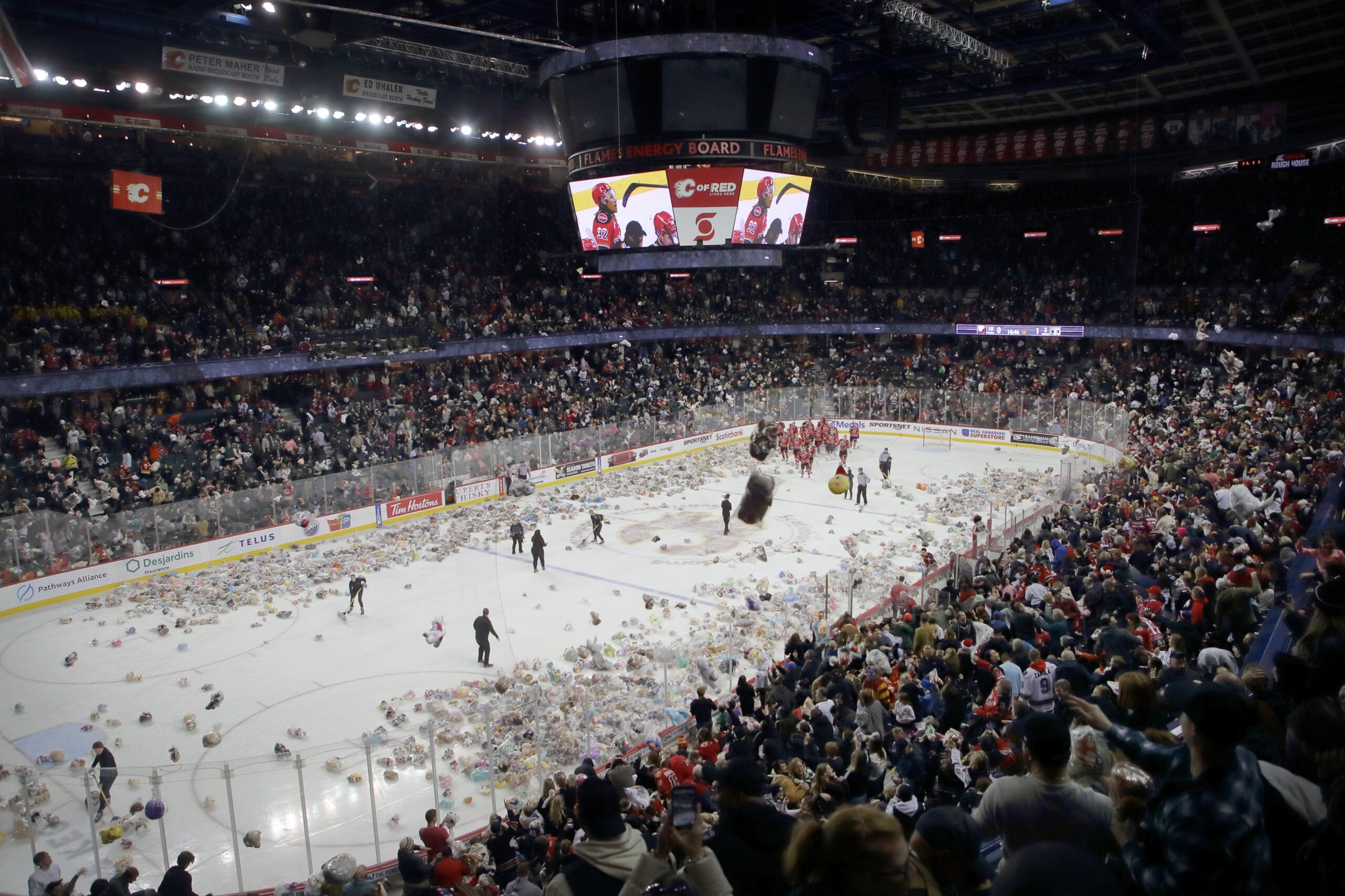 2023 teddy bear toss 0375
