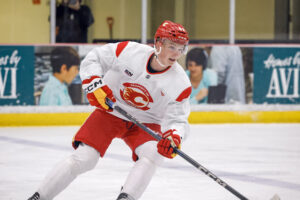 TRADE: Calgary Hitmen Acquire Flames Prospect Theo Stockselius from Seattle