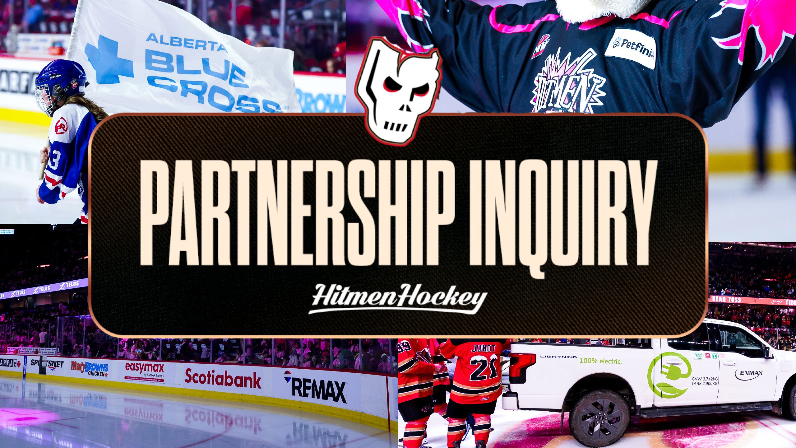Partnership Inquiry