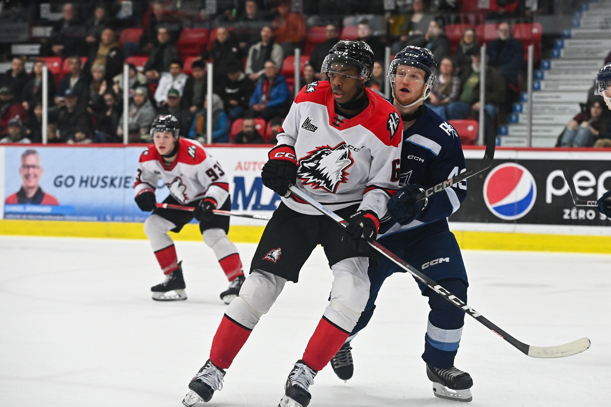 Le Phoenix continue d’hanter les Huskies - Huskies de Rouyn-Noranda