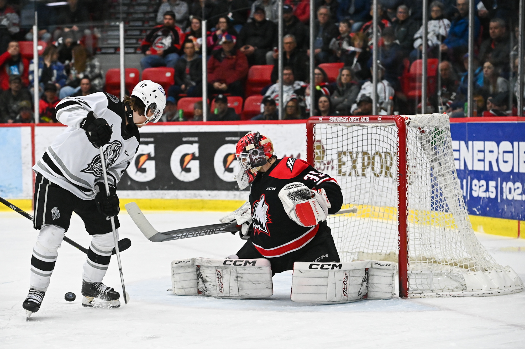 Les Huskies soufflent sur la flamme Olympique - Huskies de Rouyn-Noranda