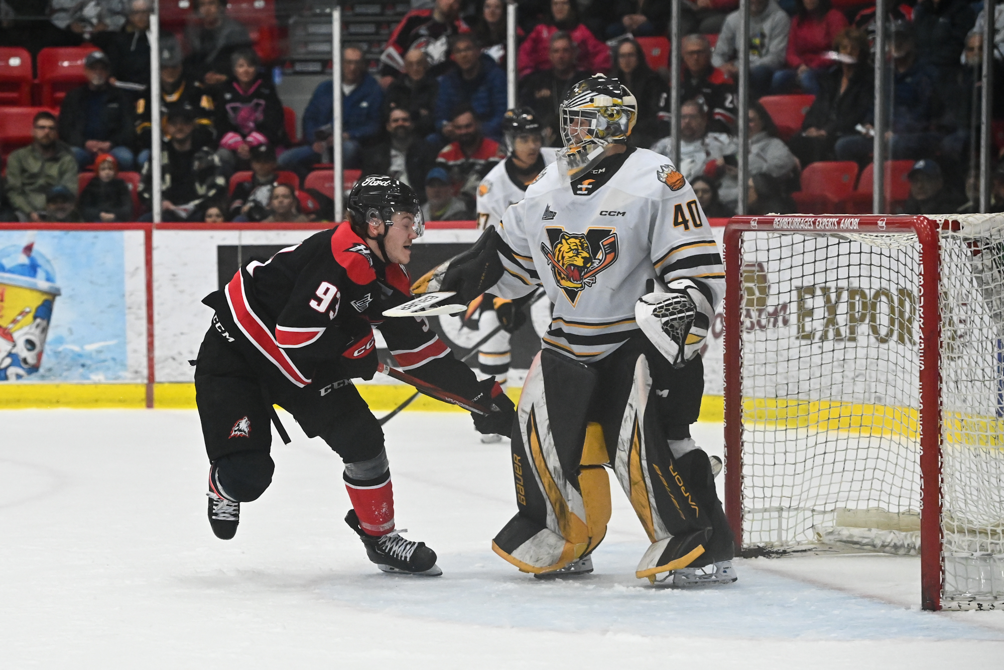 Tigres Victorious Gendron Leads Team to Victory Against Huskies in