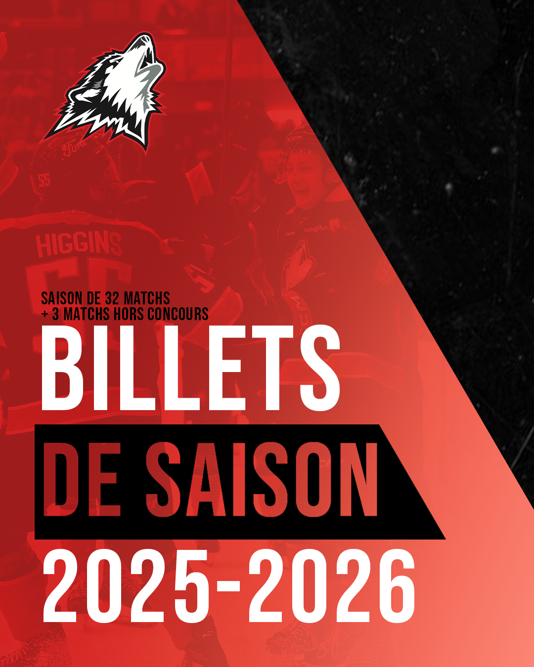AbonnementSaison_01