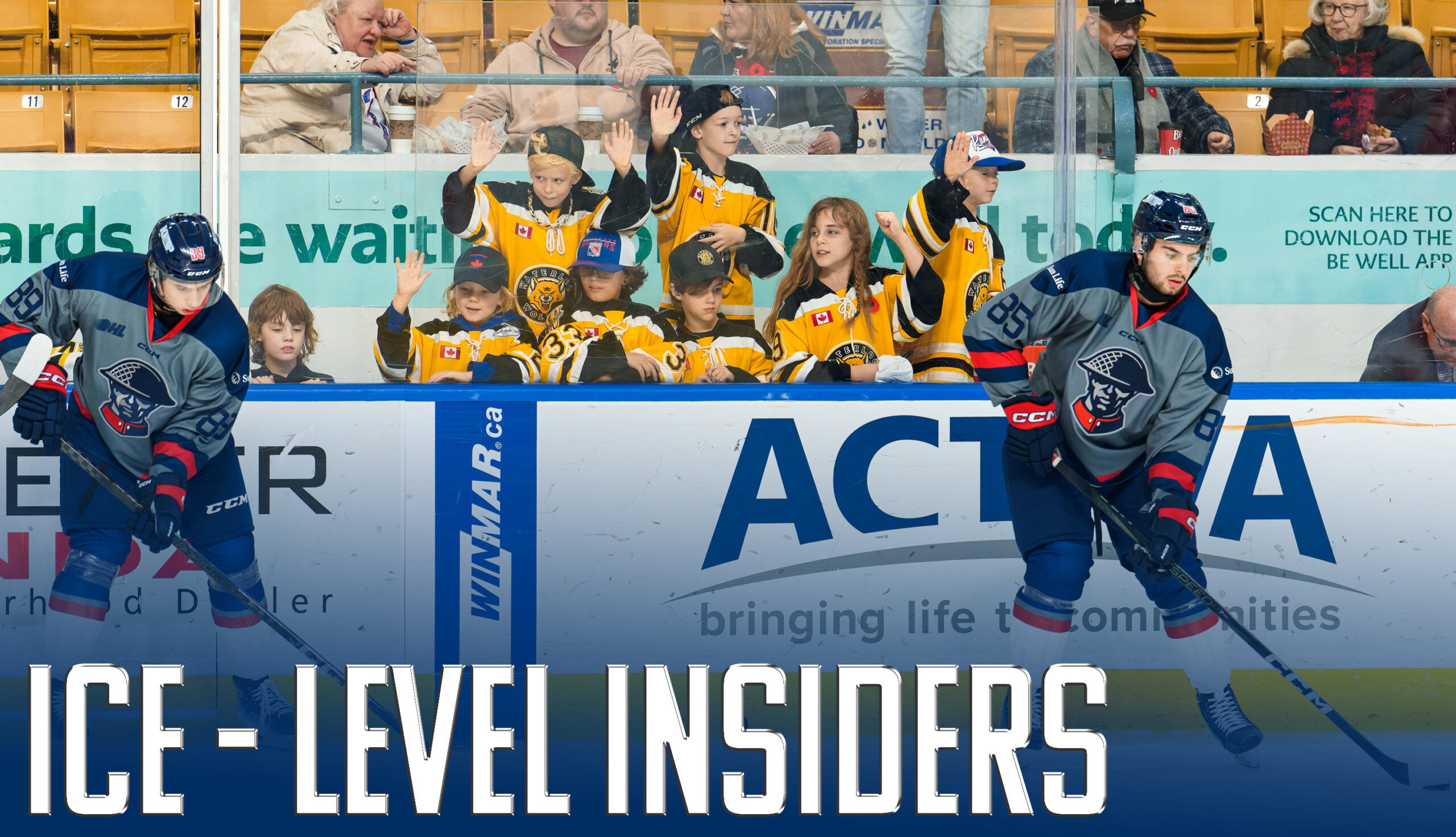 Ice-Level Insiders - Kitchener Rangers