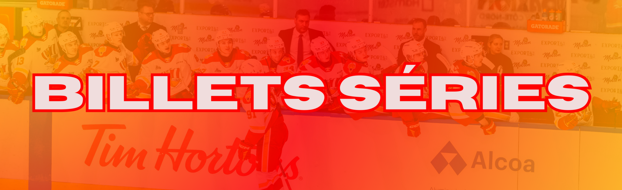 Billets séries 2324 Le Drakkar de