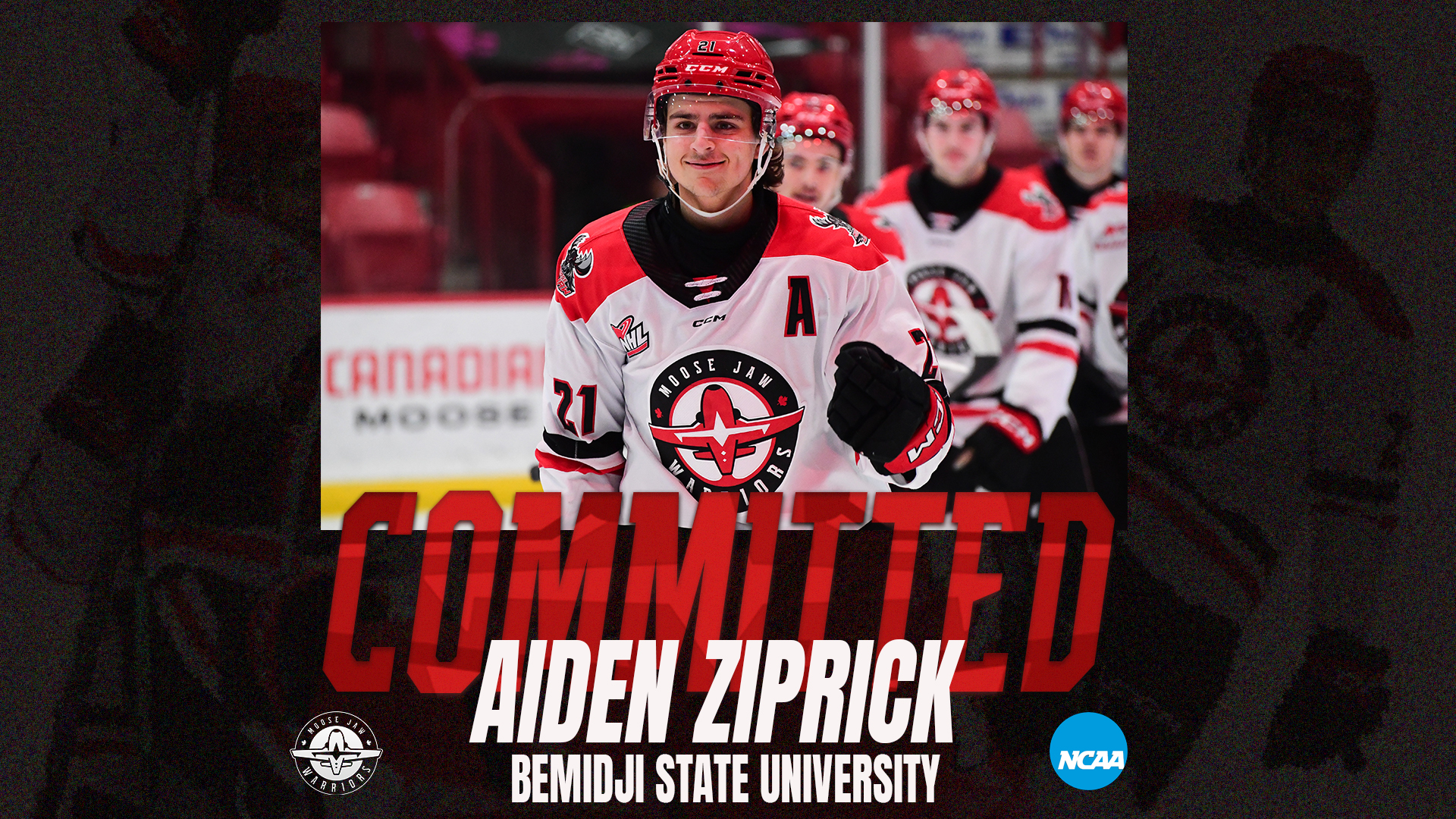 ZIPRICK – BEMIDJI – WEBSITE