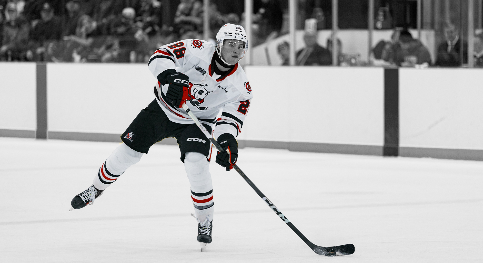 IceDogs Fall To Petes In Preseason Finale Niagara IceDogs