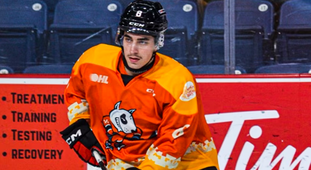 Mississauga Steelheads secure 21 victory over Niagara IceDogs in