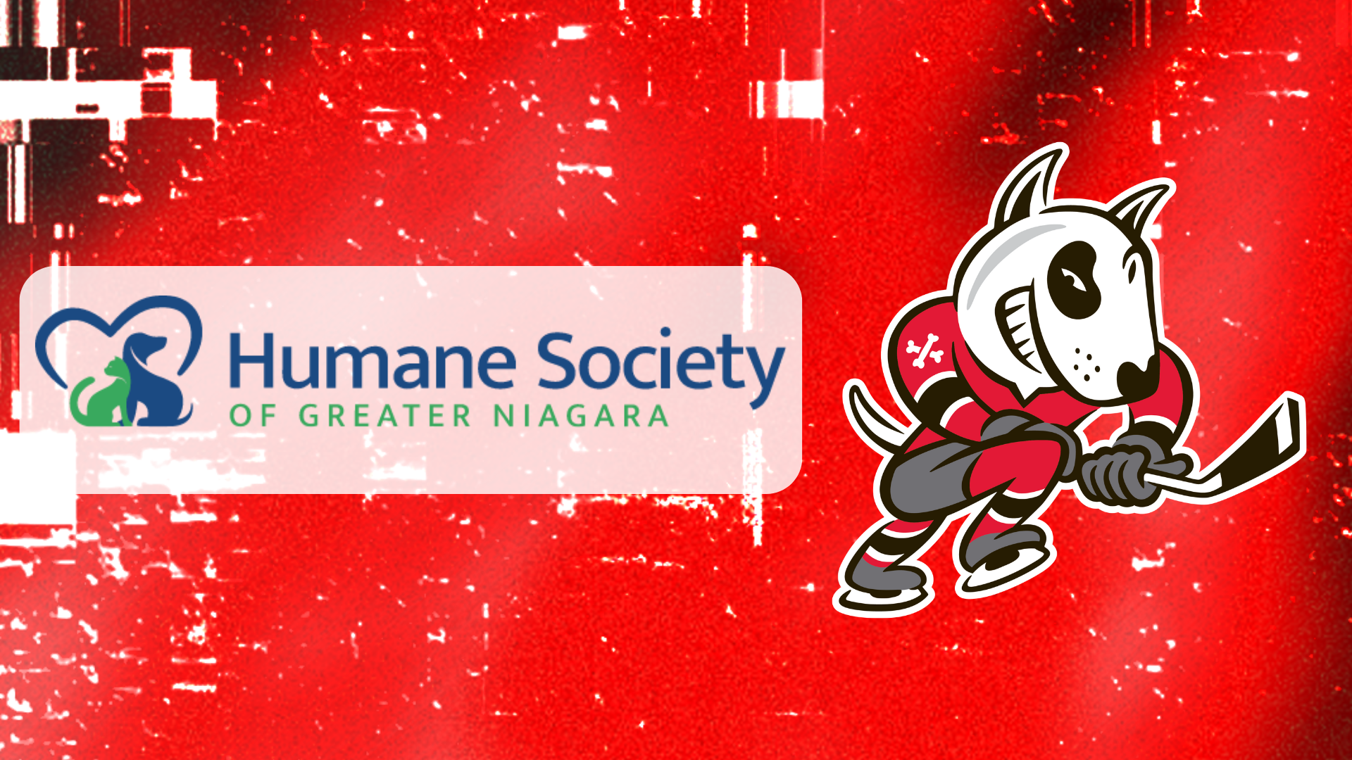 Humane Society Article Background