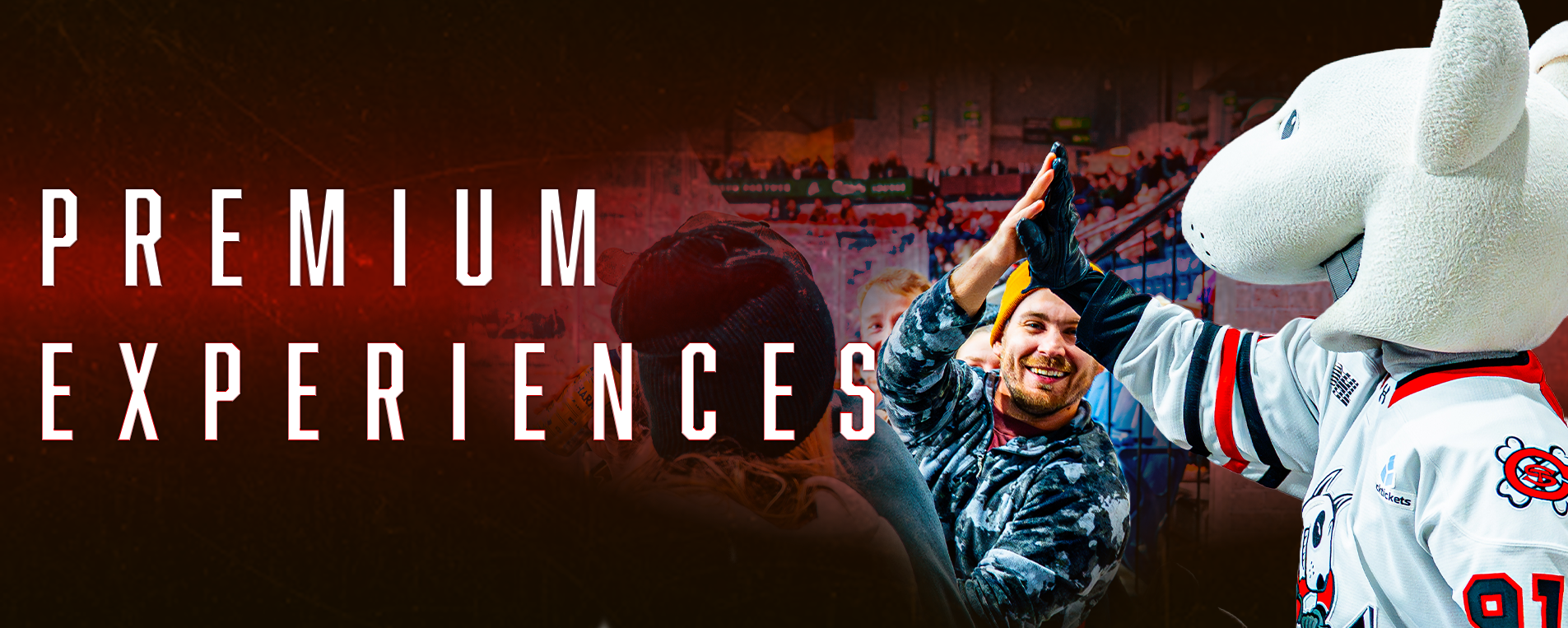 Premium Experience Header