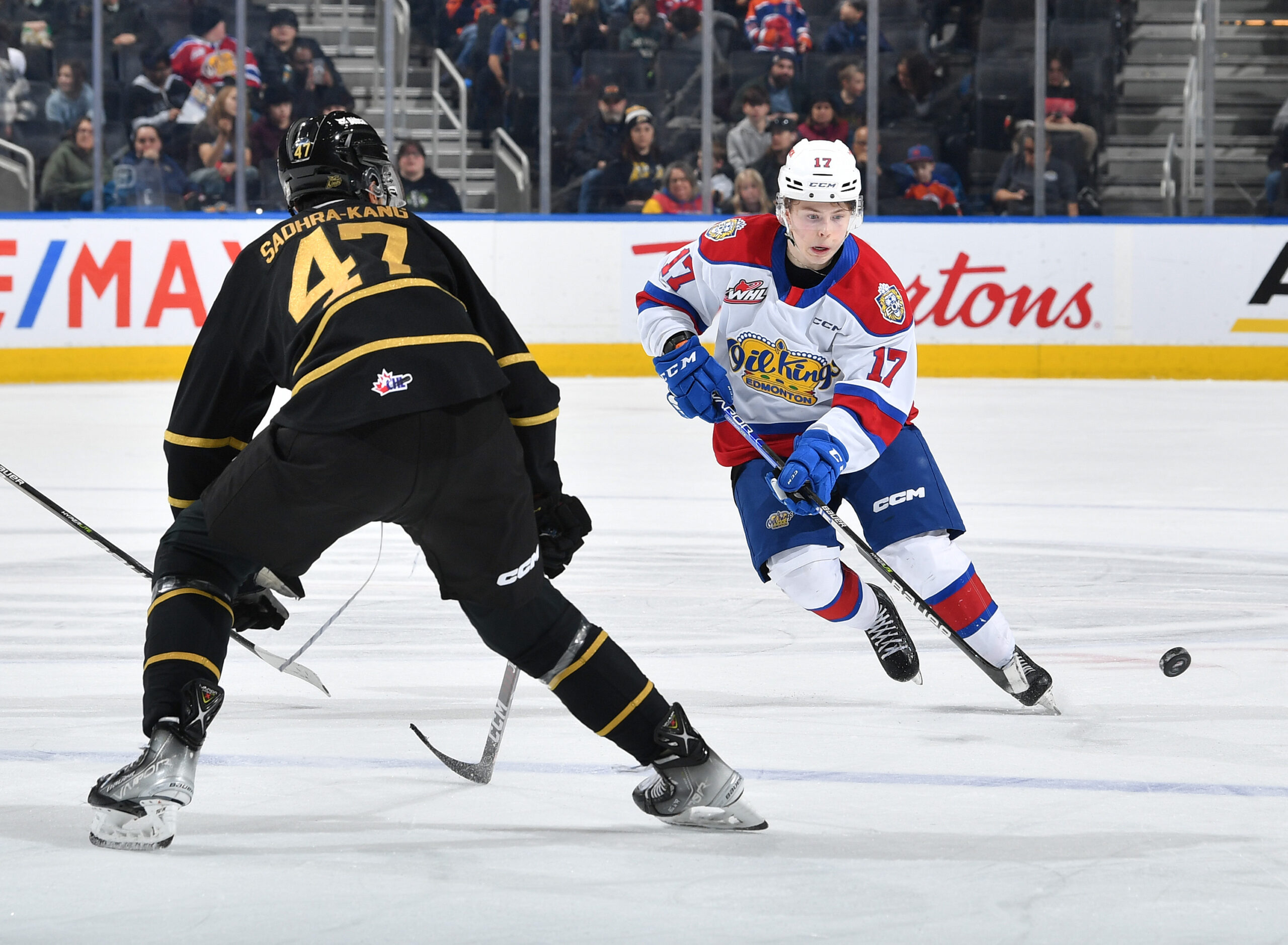 Edmonton Oil Kings vs. Brandon Wheat Kings Game Preview, Lineup Changes, and Latest Updates