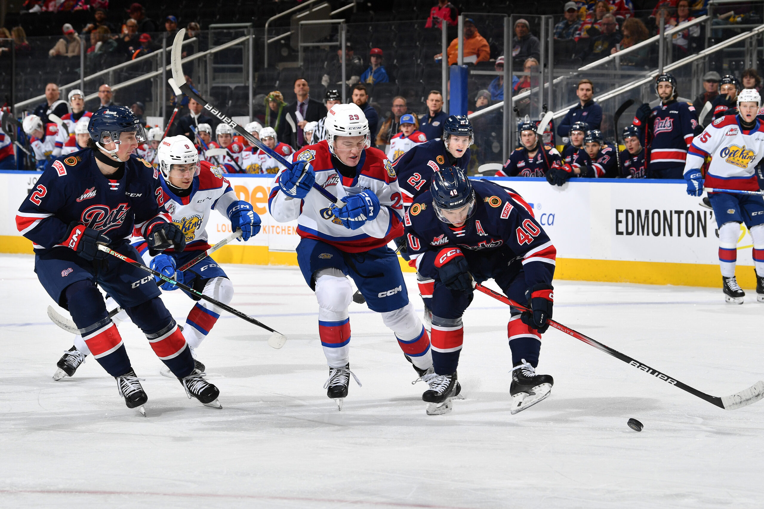 GALLERY Oil Kings vs. Pats 11.24.23 Edmonton Oil Kings
