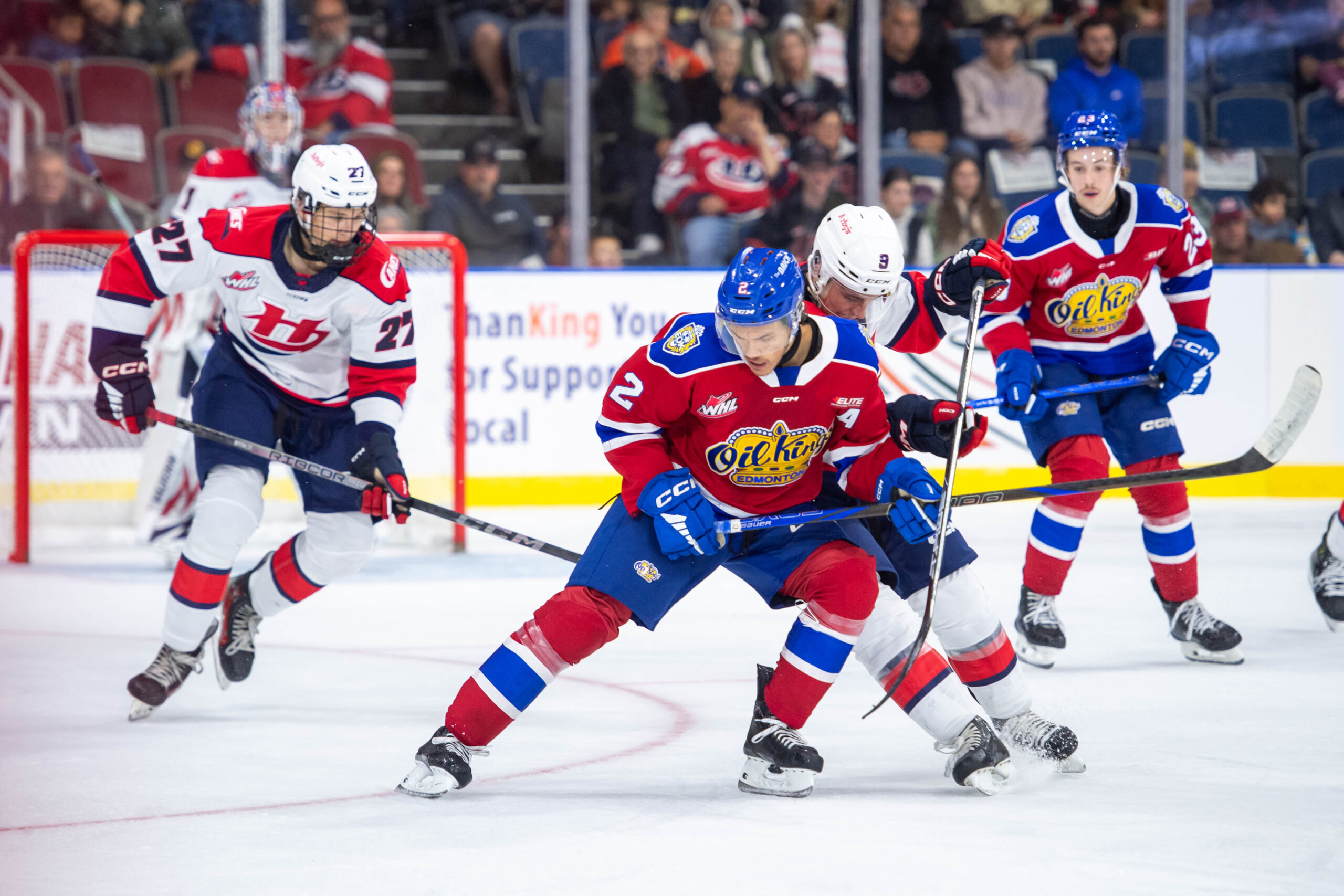 54010138656_89e3cbc40f_o