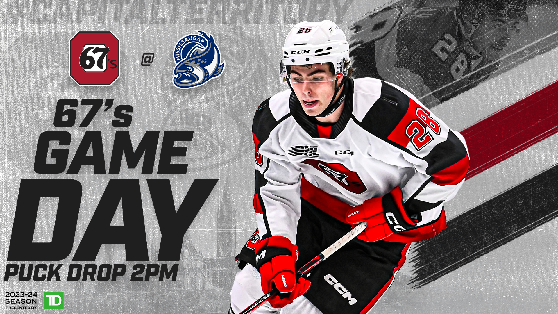 Game Day