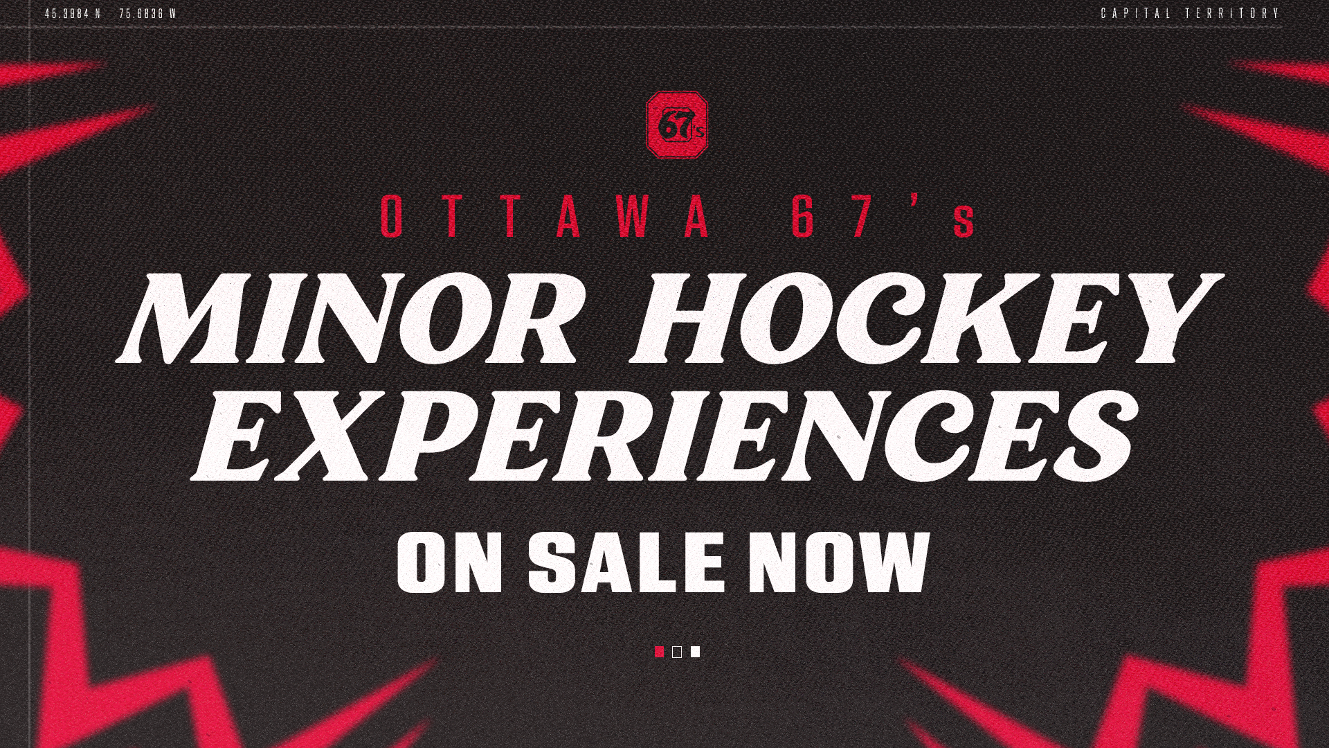 Minor Hockey Experiences