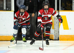 Brantford Bulldogs at Ottawa 67's