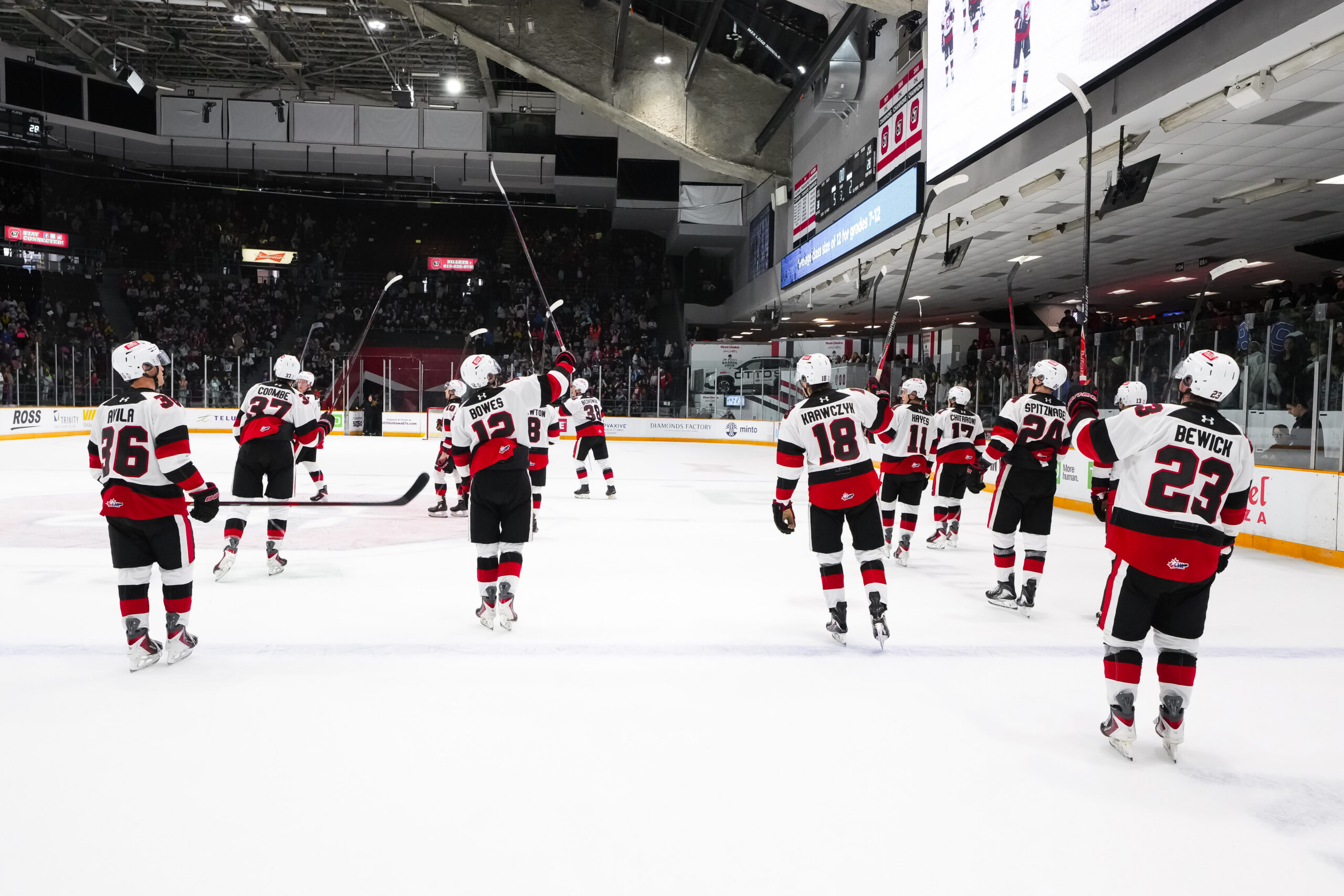 Ottawa 67’s vs Brampton Steelheads