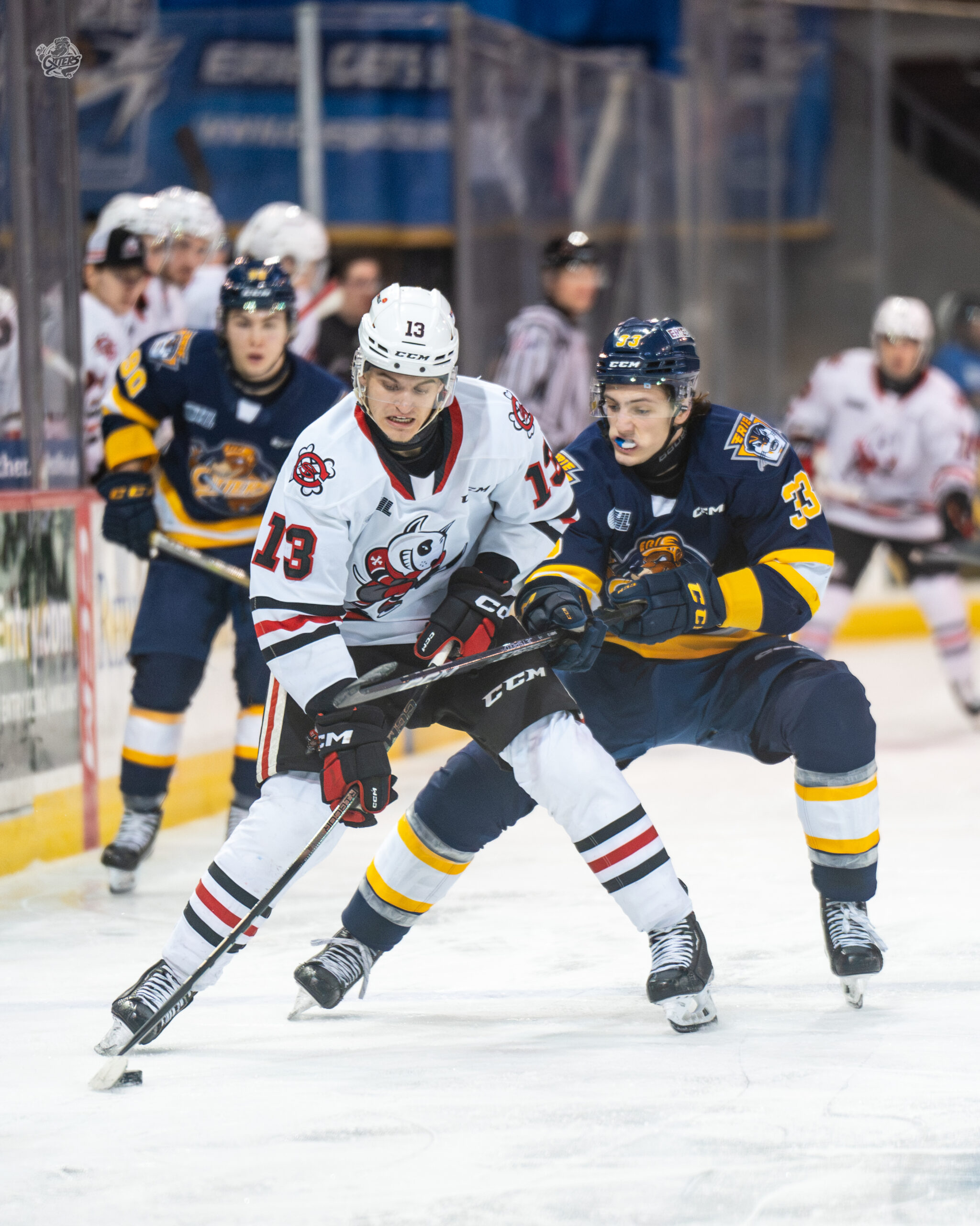 Bressette Scores 15th, Erie Drops FifthStraight in Loss to Niagara