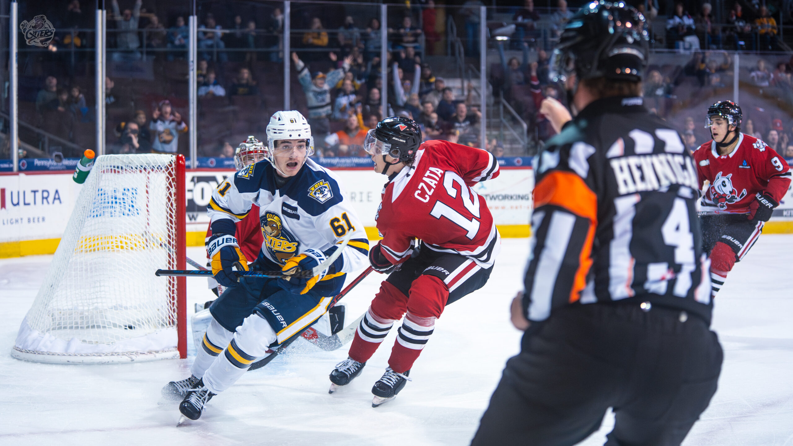 Otters vs Attack